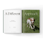 A-different-approuch-in-bird-dogs