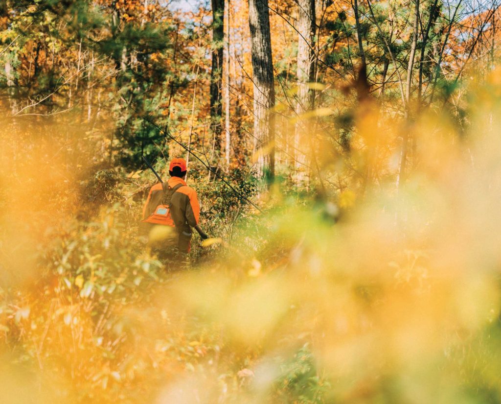 A man hunting grouse in Pennsylvania 