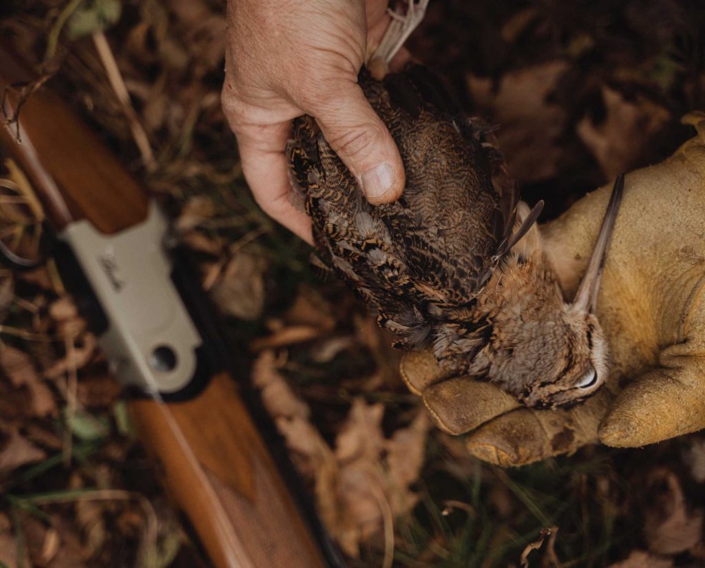 A hunter with a woodcock in West Virginia