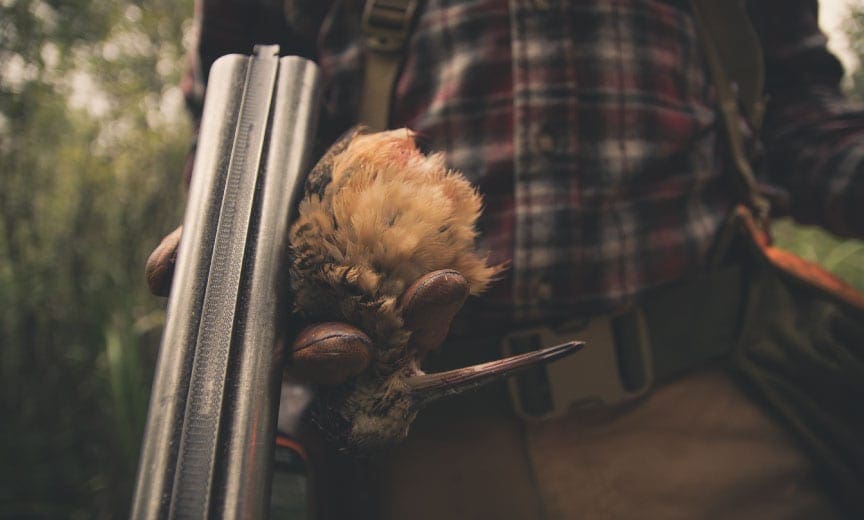 A millennial hunting woodcock
