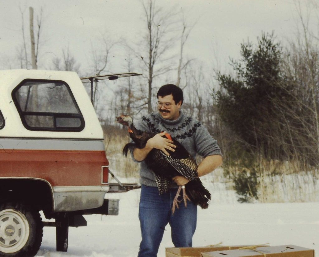 A biologist holds a wild turkey