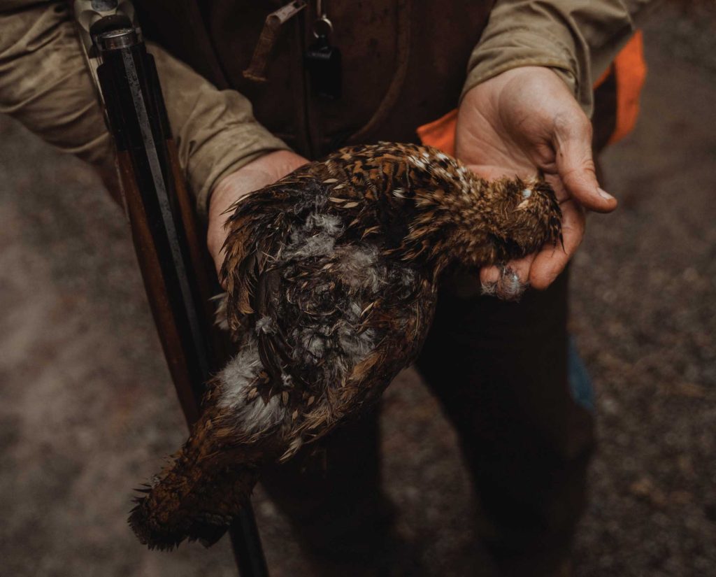 A hunter holds a ruffed grouse in West Virginia