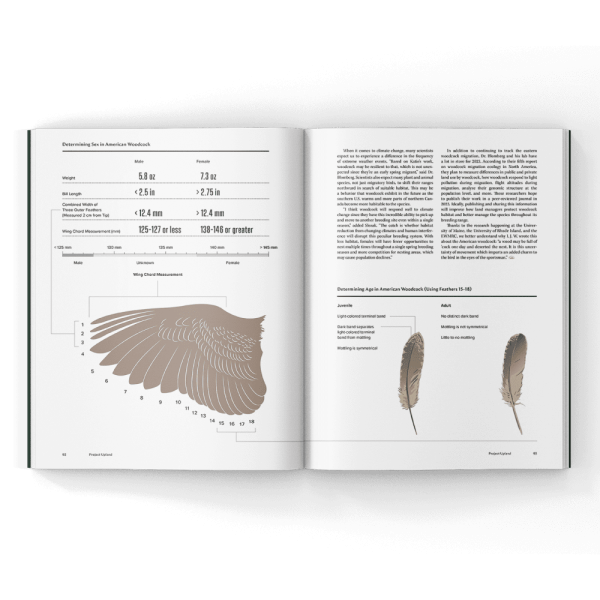 Aging and Sexing woodcock chart in a magazine