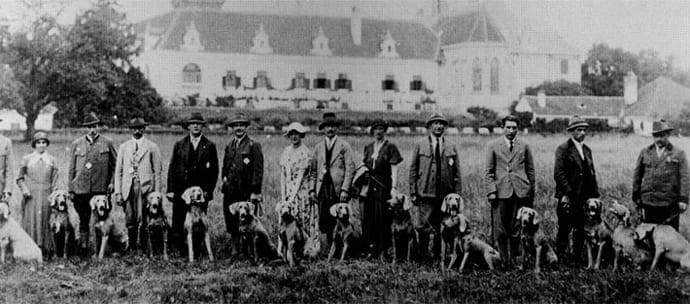 Austrian Weimaraner club 1946 