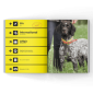 Bird Dog Magazine 2025