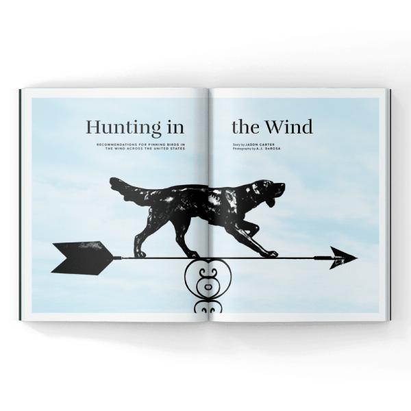 Project Upland Magazine - Free Issue Sale for New Subscribers - Image 5