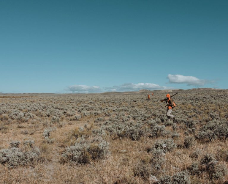 Bird hunters walk along while hunting Sage Grouse in Wyoming