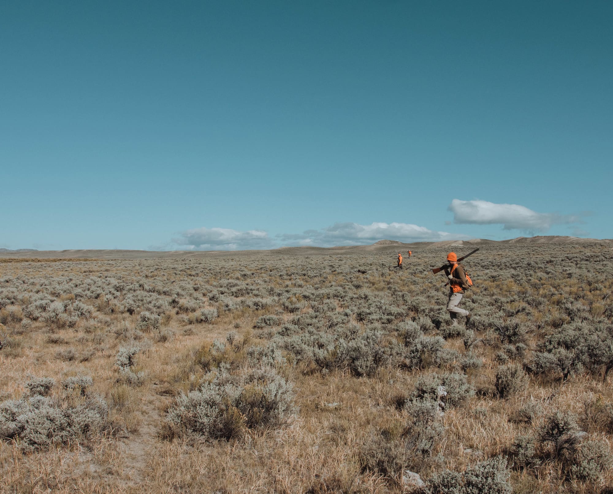 Bird hunters walk along while hunting Sage Grouse in Wyoming