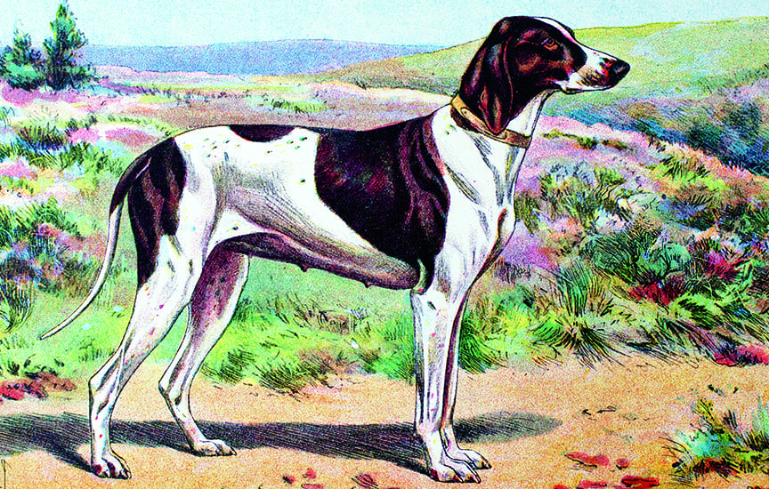 A painting of the Braque Dupuy.