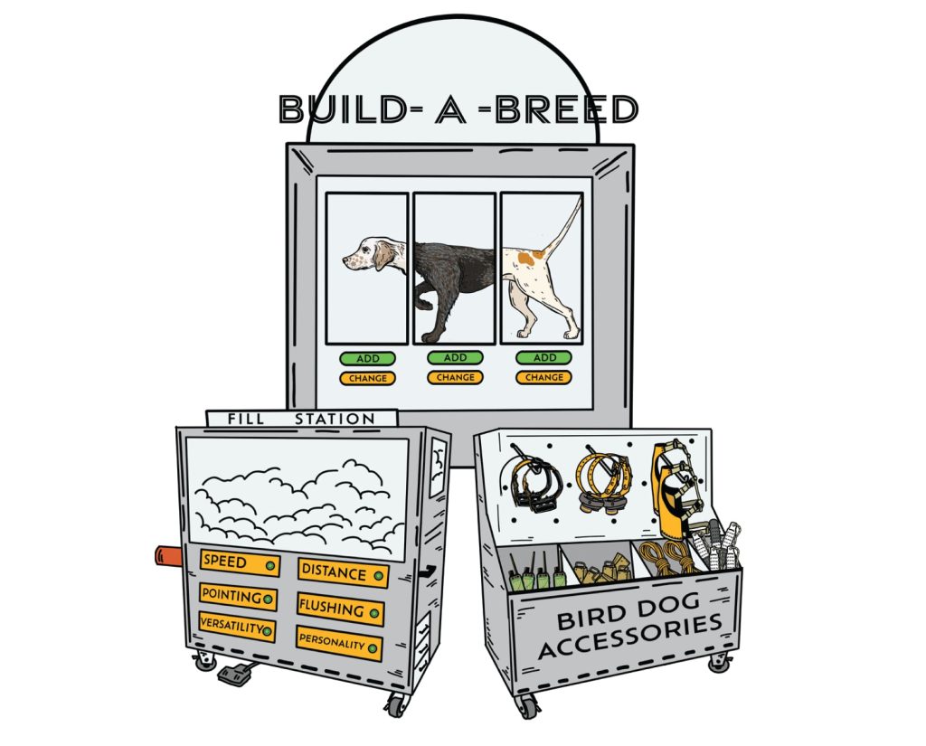 artwork of various dog breeds put together
