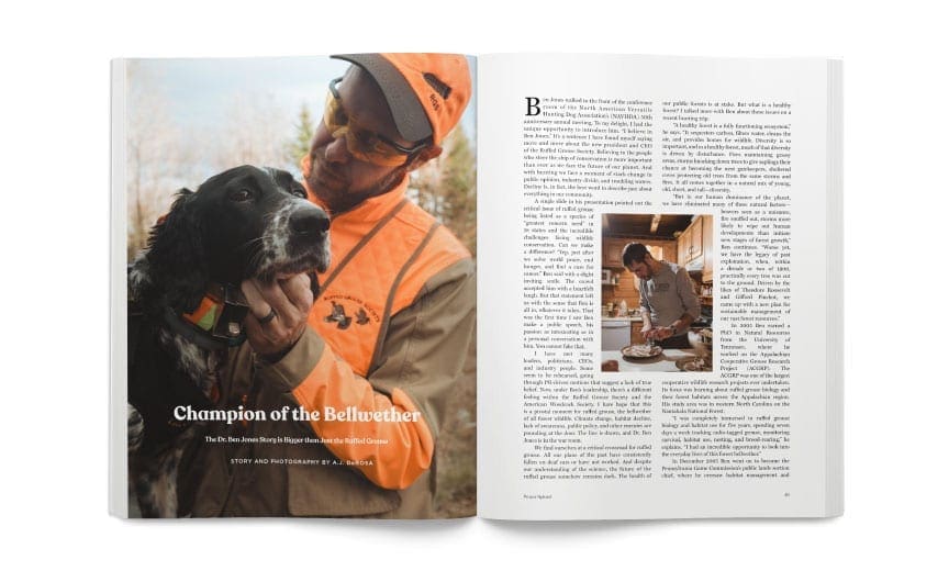 An open spread of Ben Jones in Champion of the Bellwether