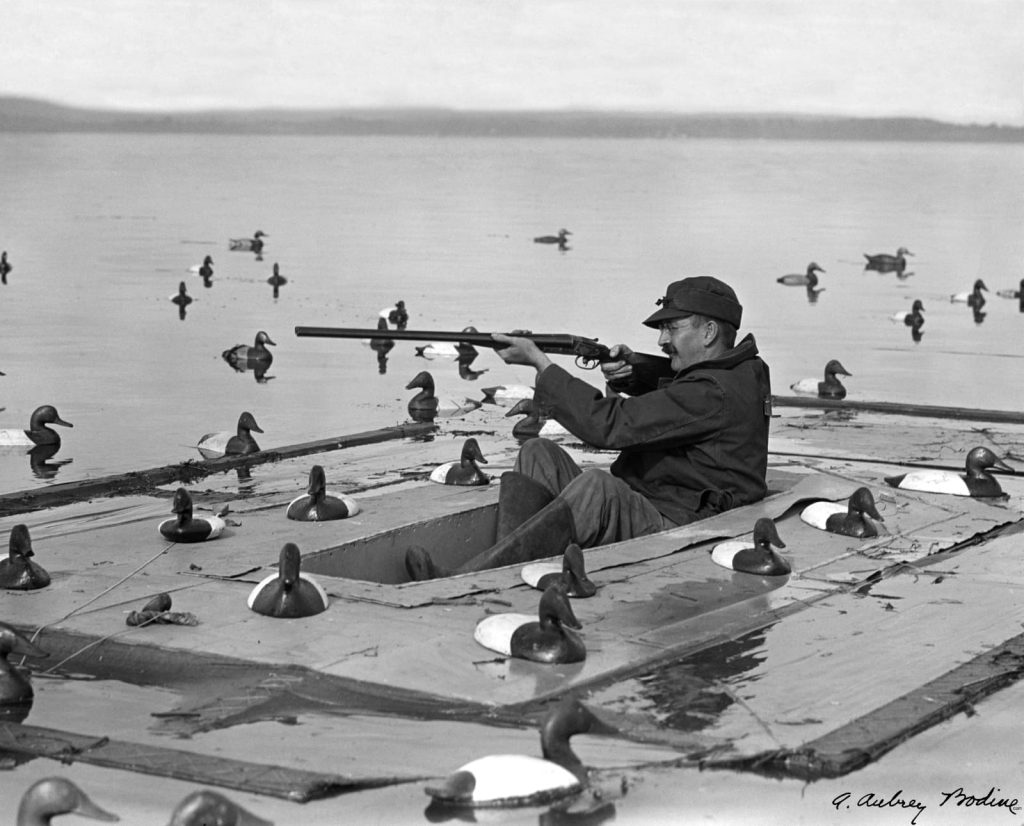 A single cockpit sinkbox rig from Chesapeake Bay weighted down with iron wing decoys.