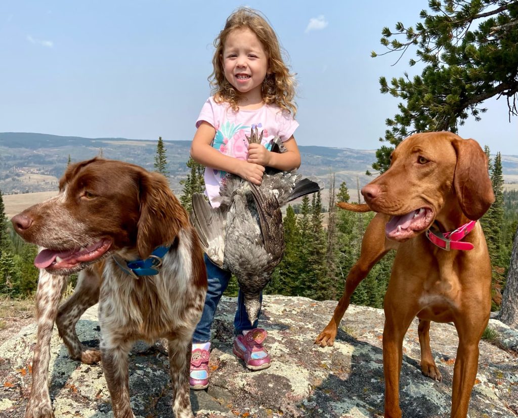 A young girl with a bird and bird dogs.