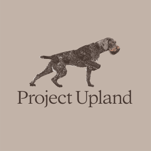 Close-Up-of-GWP-T-shirt Close up of German Wirehaired Pointer tee shirt design