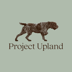 Design-for-Griffon-Shirt Close up of the Wirehaired Pointing Griffon shirt design