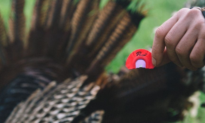 A Diaphragm Turkey Call also called a mouth call.