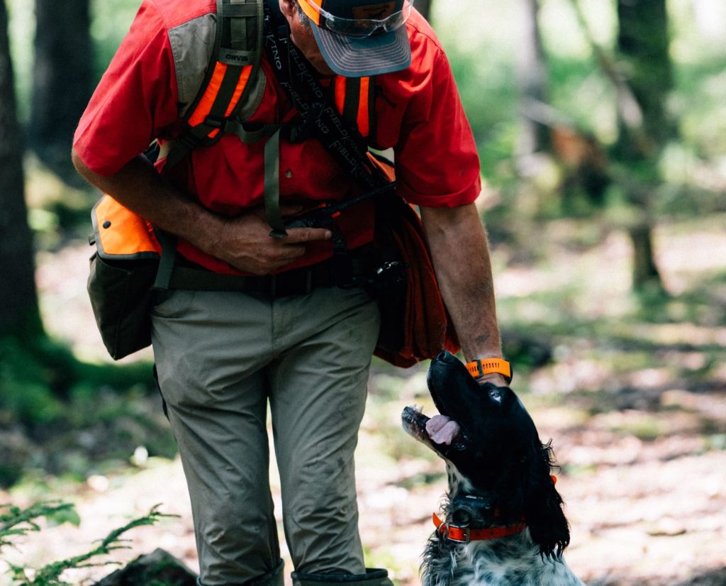 A dog focuses on his trainer.