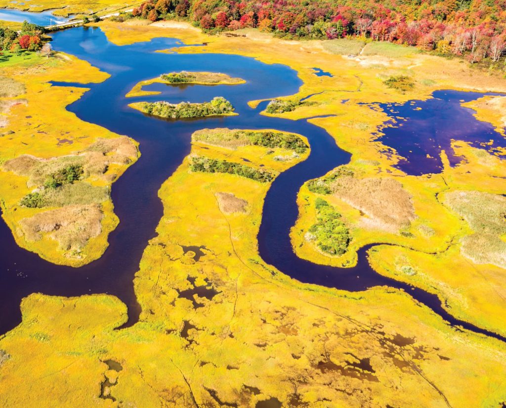 A birds eye view of a tidal marsh and creek in the fall time. 