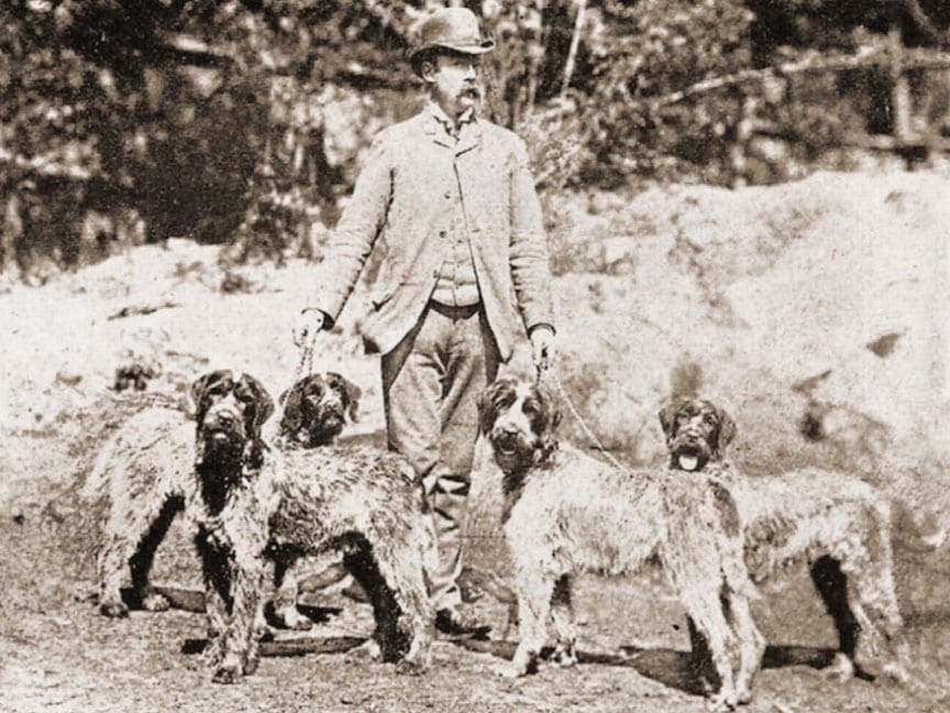 Eduard Karel Korthals the founder of the wirehaired pointing griffon
