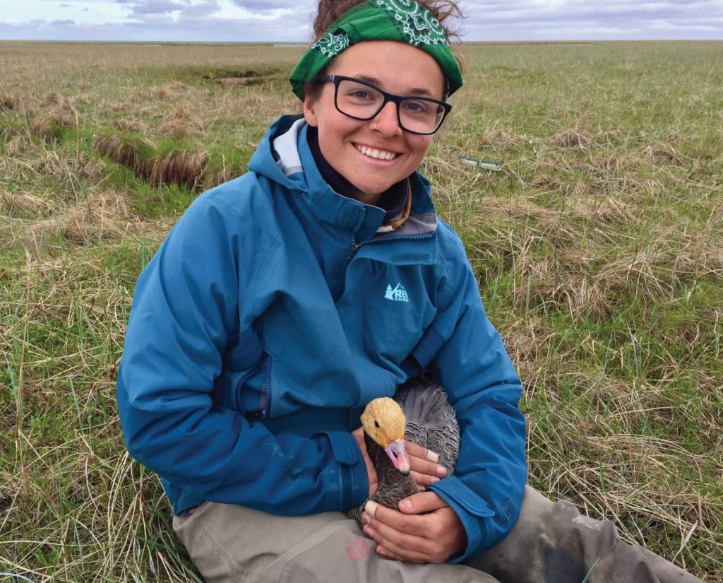 The author holding an Emperor goose (Anser canagicus) during research.