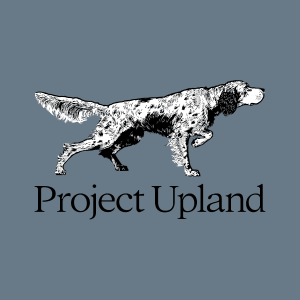 English-Setter-Hoodie-Artwork-Close-Up English Setter Hooded Sweatshirt close up of artwork