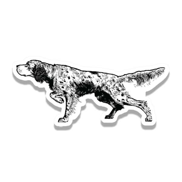 An English Setter sticker with the dog on point