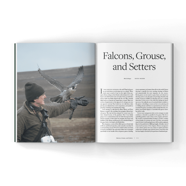Volume 4 of Hunting Dog Confidential (Hardcover Book) - Image 7