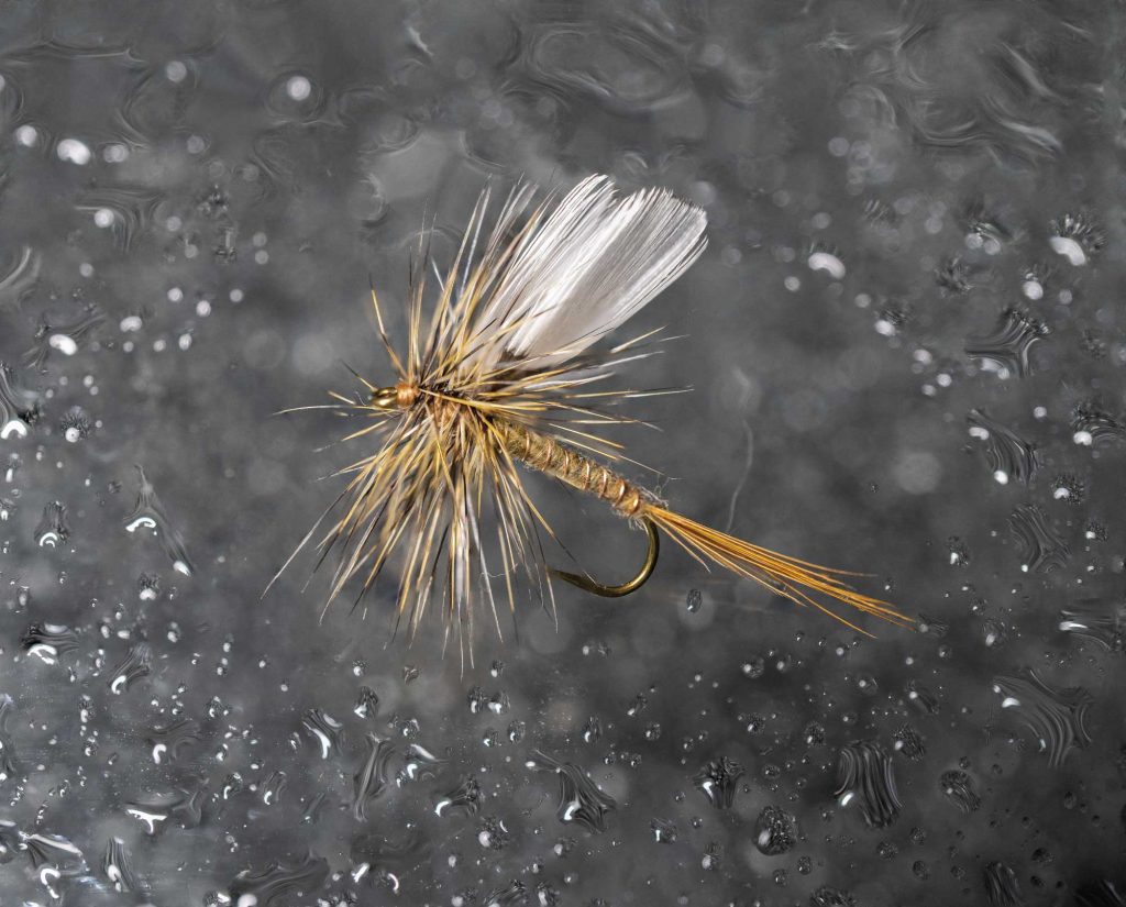 Fan Wing Mayfly made with pheasant feathers