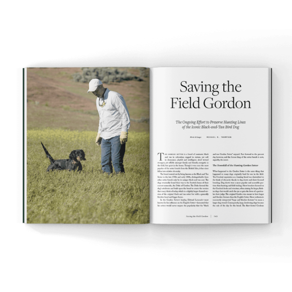 Volume 4 of Hunting Dog Confidential (Hardcover Book) - Image 6