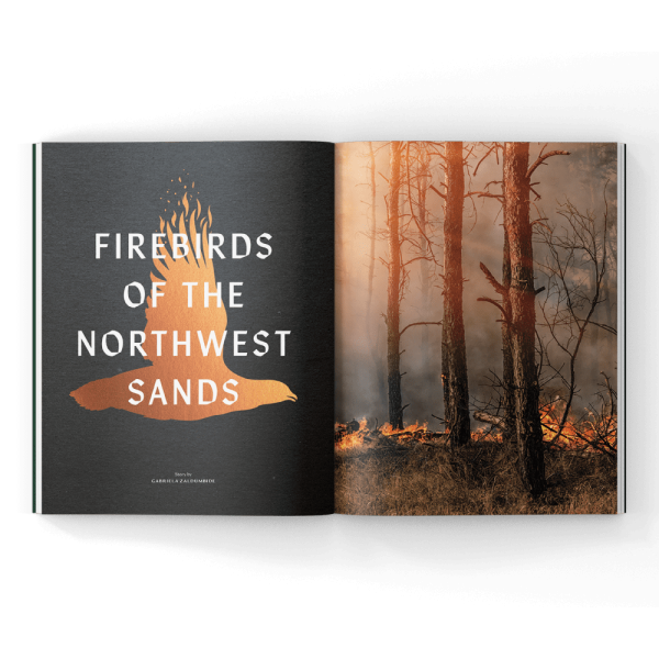 fire management for wild birds in a magazine