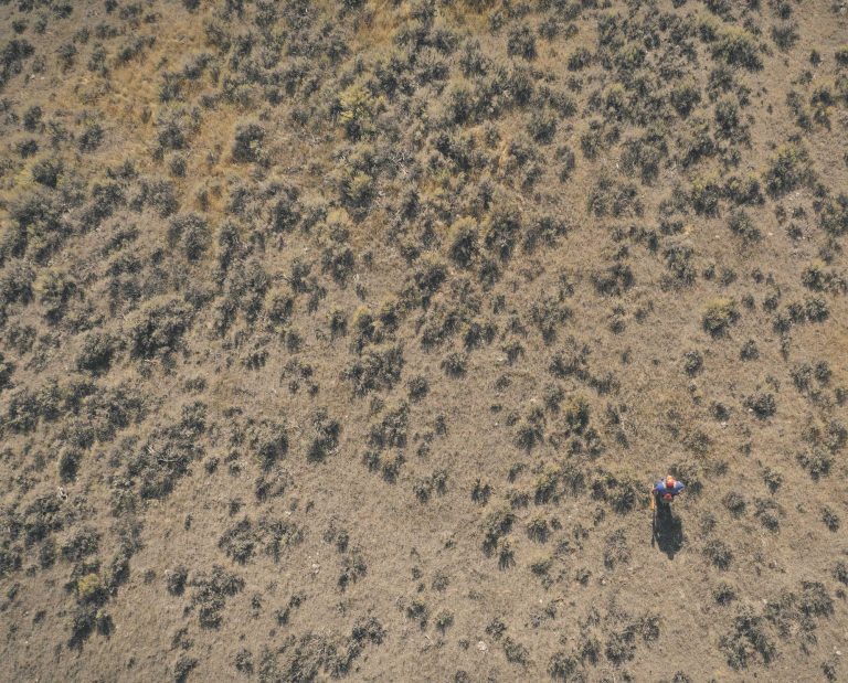 A sage grouse hunter out in a large area of sage grouse habitat.
