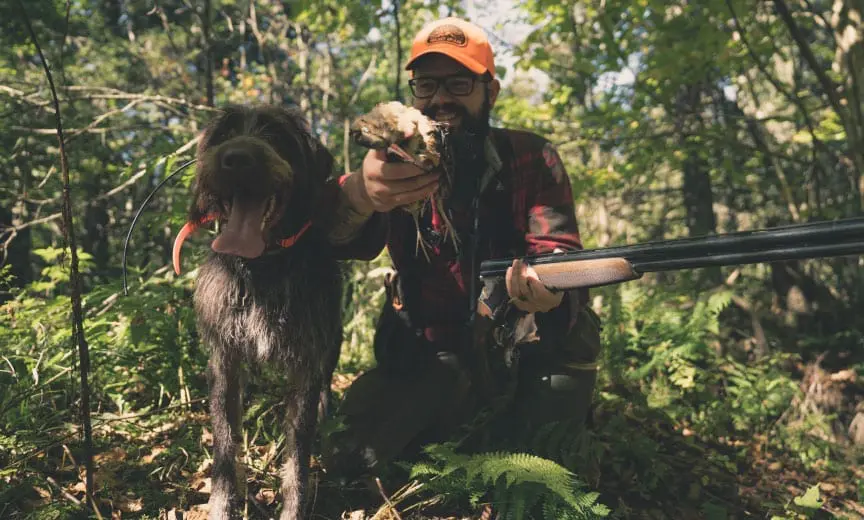 Franchi Instinct bird hunting