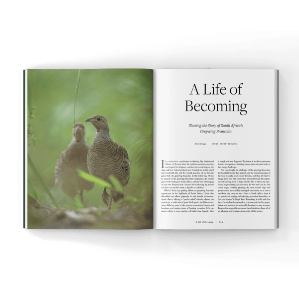 Volume 4 of Hunting Dog Confidential (Hardcover Book) - Image 12