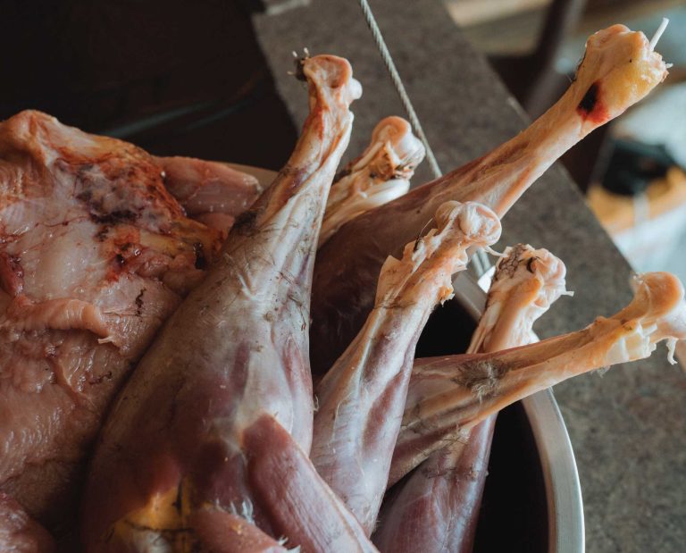 Wild turkey meat in a bowl.