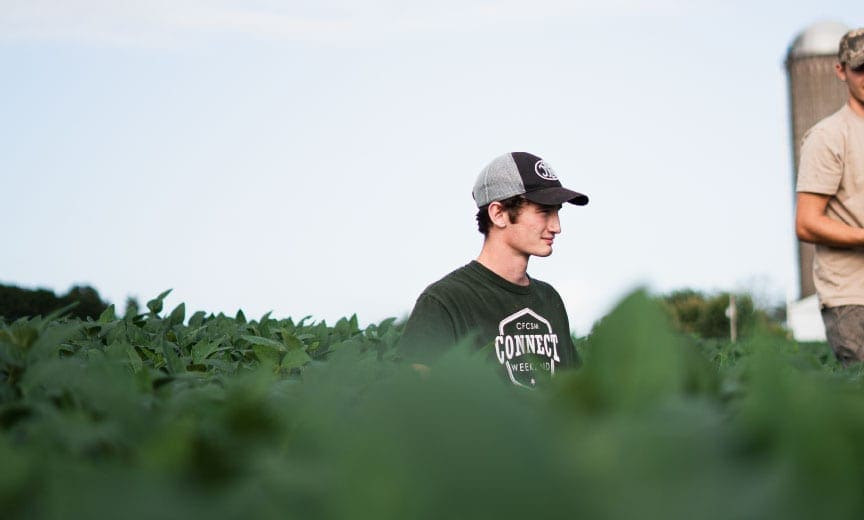 Generation Z out on a dove hunt