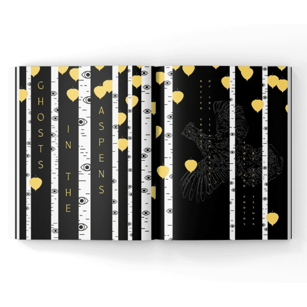 Aspens and ruffed grouse in a magazine