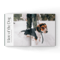 Hare-hunting-woth-hounds-book