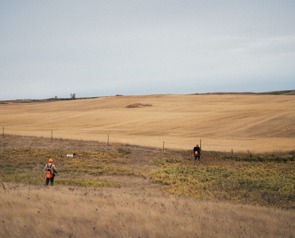 Bird hunters approach a dog pointing based on the wind