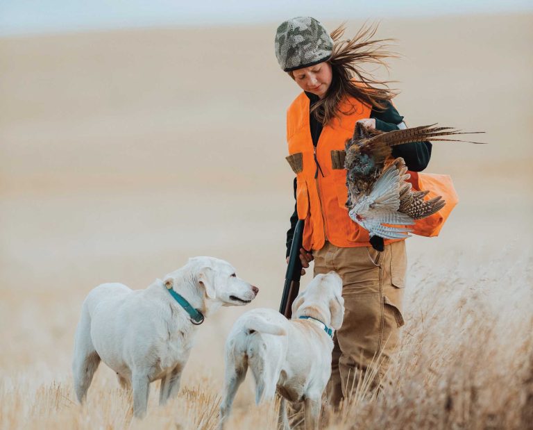 A young girl holds up a pheasant with two dogs while hunting in America.