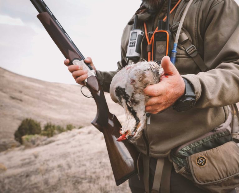 A chukar hunter holds a chukar up.