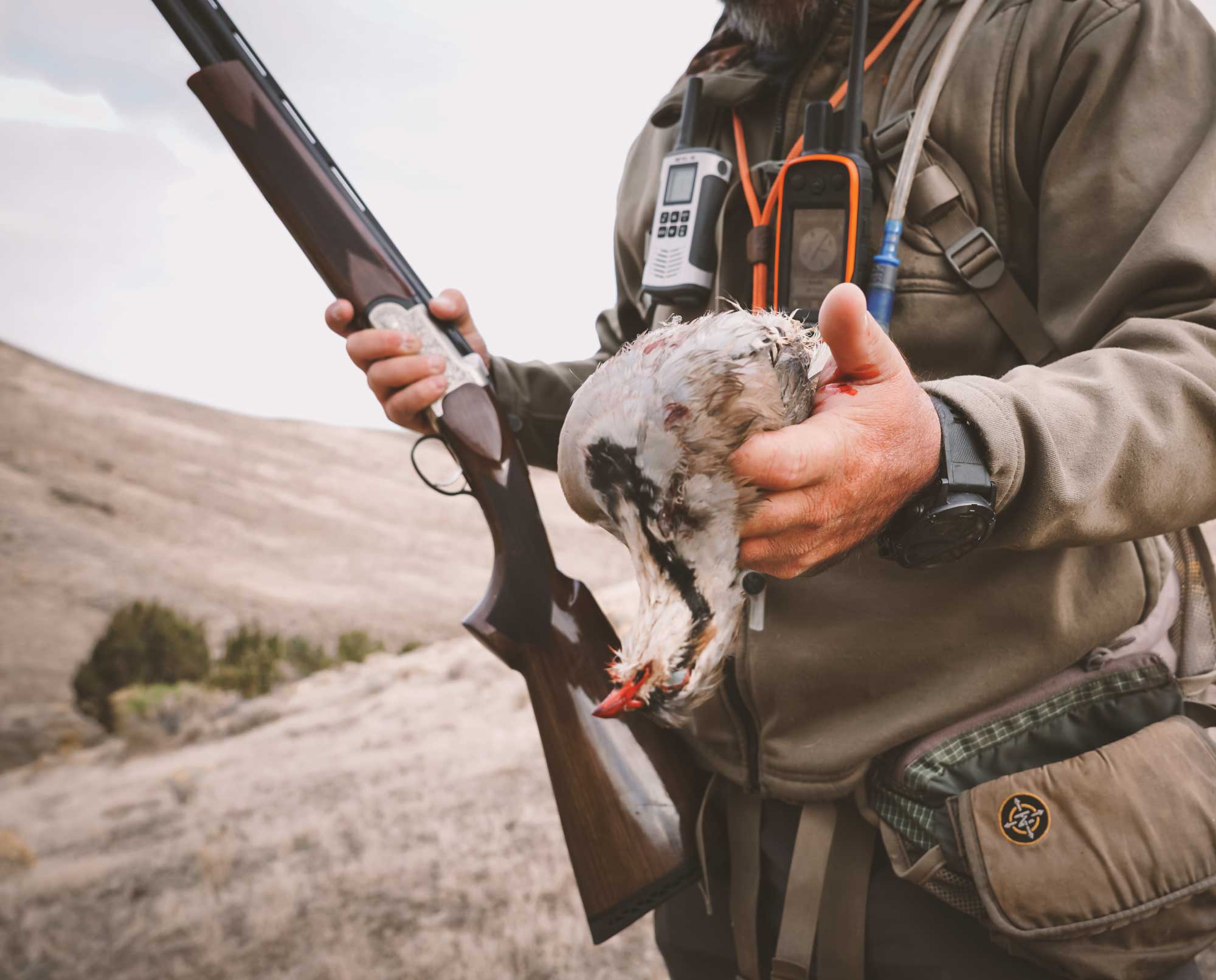 A chukar hunter holds a chukar up.