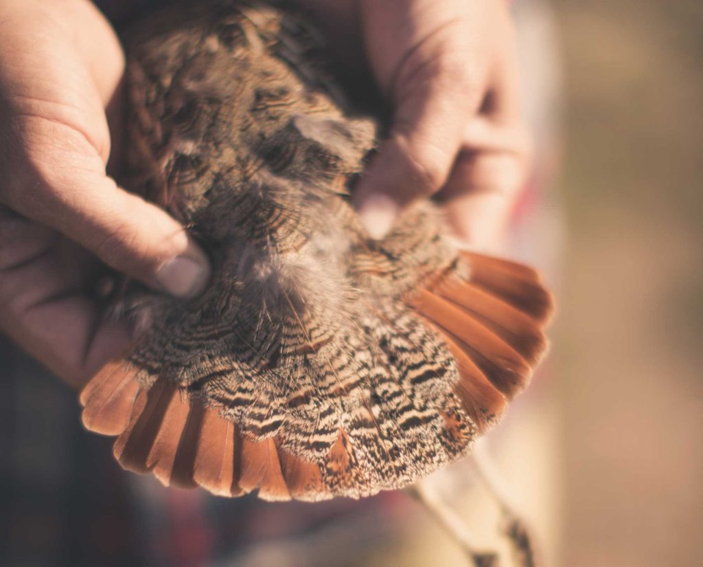 A successful harvest of a Hungarian partridge in Idaho