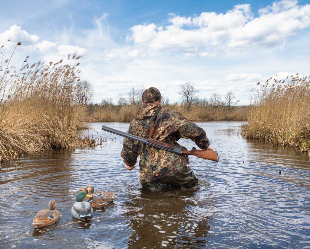 Hunter sets out duck decoys before hunting