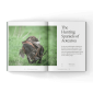 Hunting-Spaniels-Book