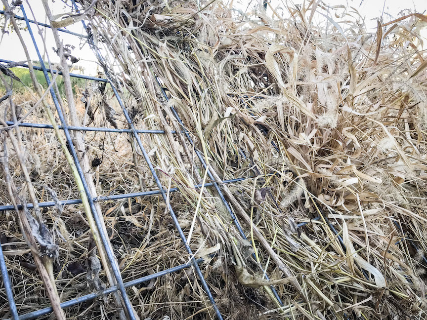 Construction of a wire panel duck blind with natural grasses