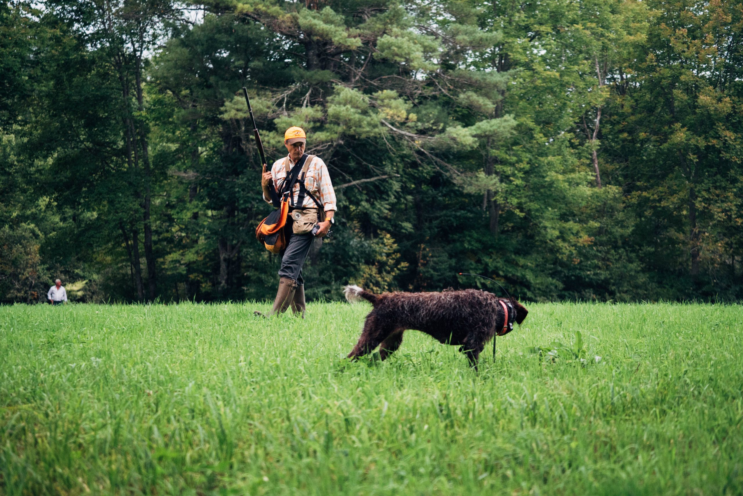 A Man doing dog training