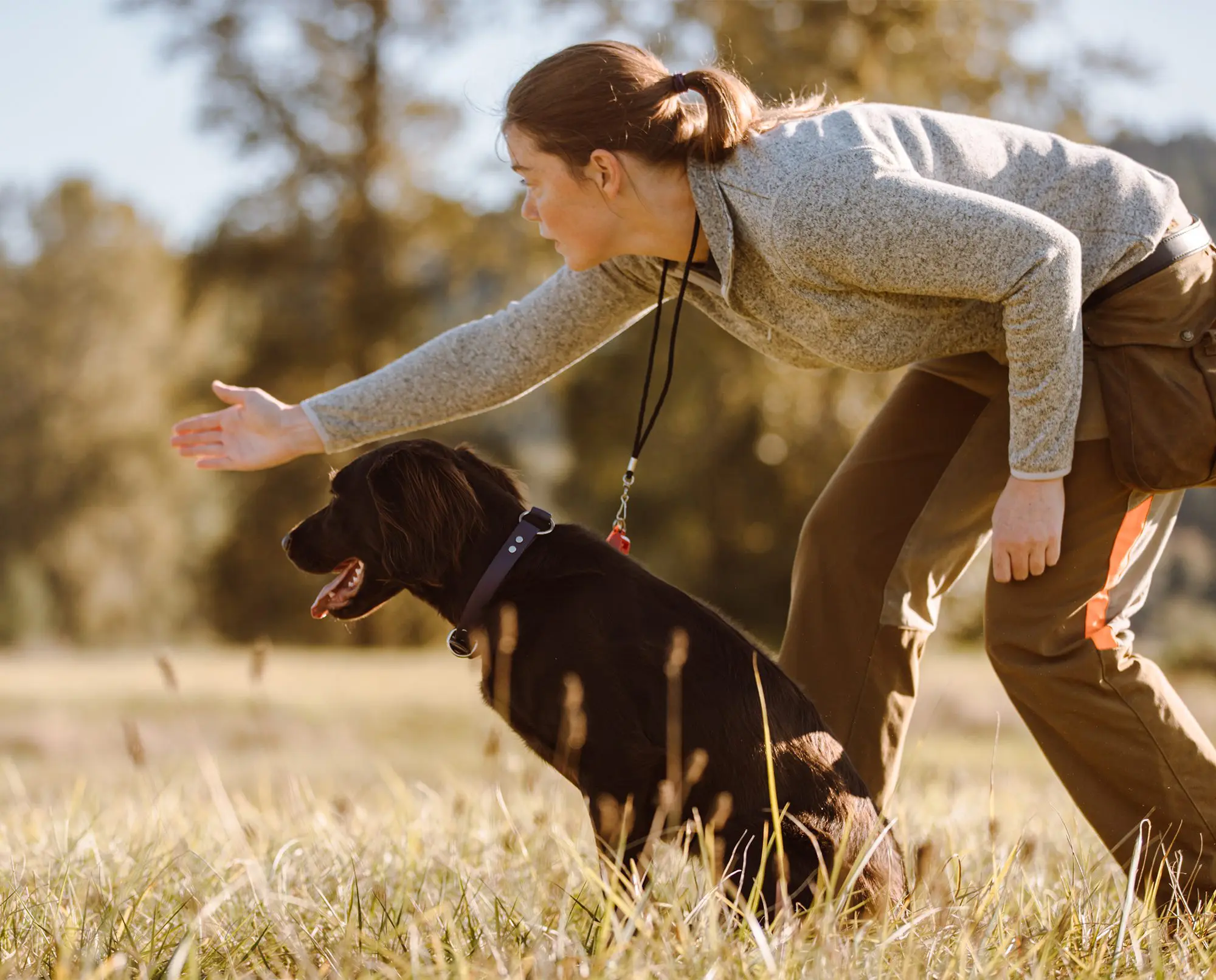 Jennifer Wapenski, co-wonder of Project Upland training one of her dogs.