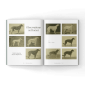Long-dog-hunting-in-a-book