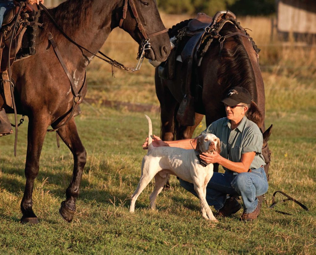 Mazie Davis handles a dog at an American Field Event