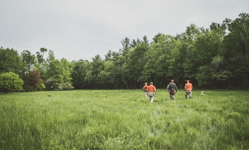 A group of NAVHDA judges during the Field Phase of the NAVHDA Natural Ability test